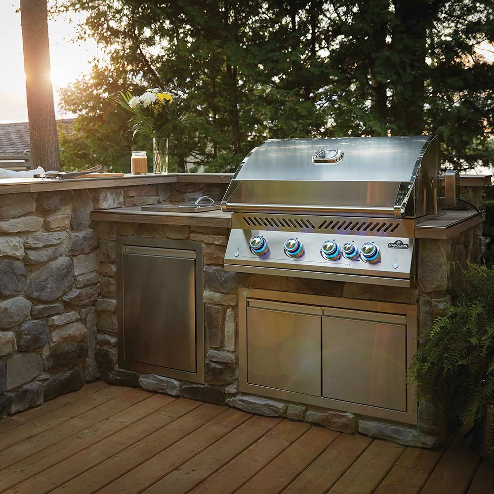 Napoleon BIG32RBSS Stainless Steel Built-In 700 Series 32-Inch Infrared Rear 4-Burner Gas Grill Head