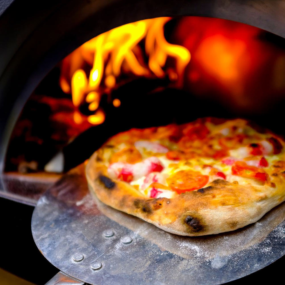 Alfa FXONE-LRAM Nano 23-Inch Wood-Fired Pizza Oven on Cart