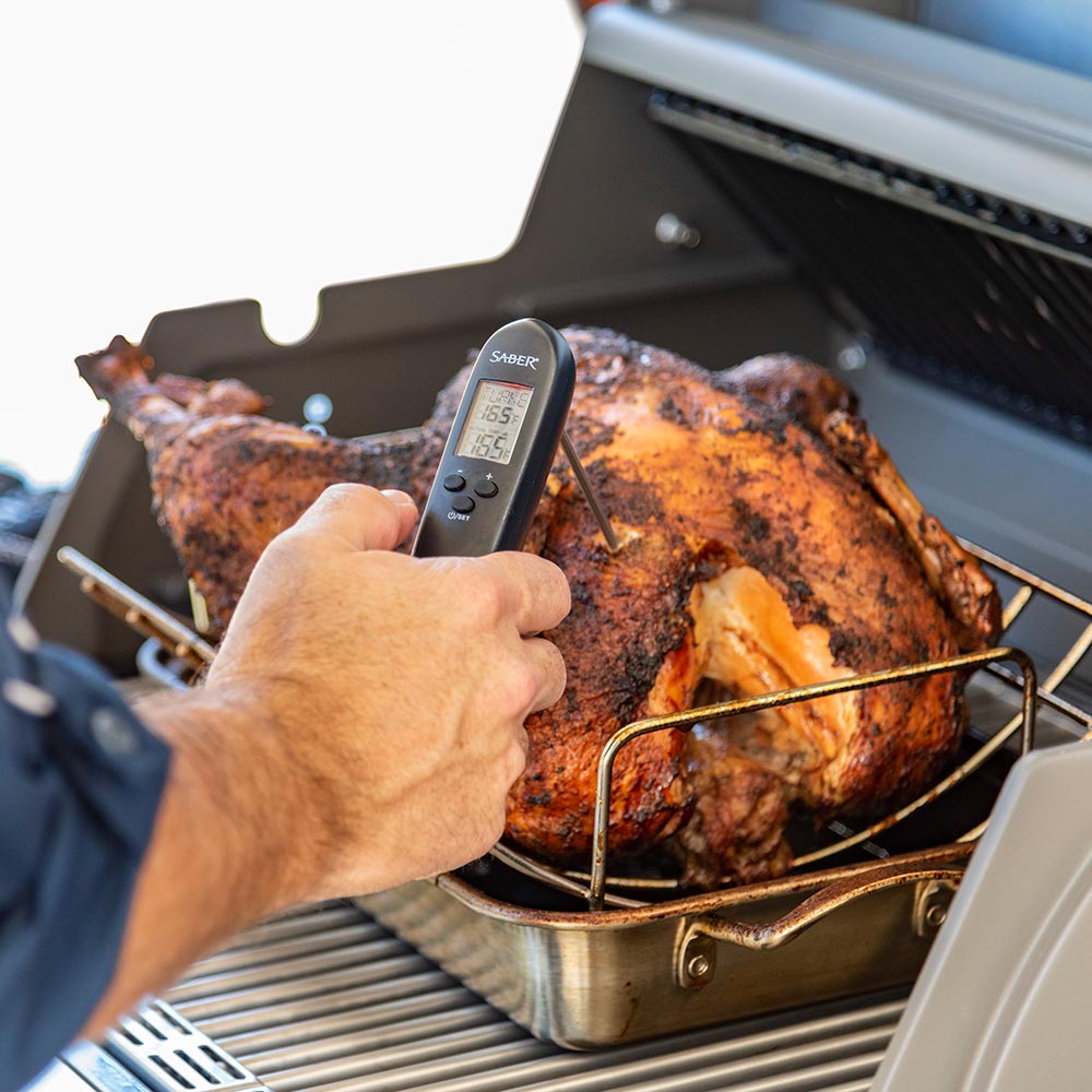 Roasting rack with roasted turkey on grill; hand holds a thermometer near meat