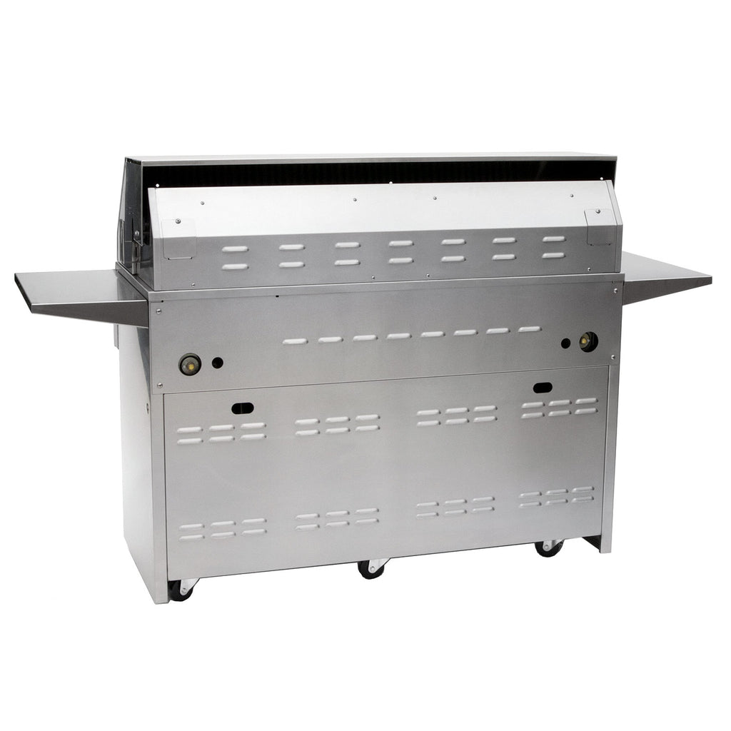 Stainless steel freestanding grill with side shelf and rear vent panel