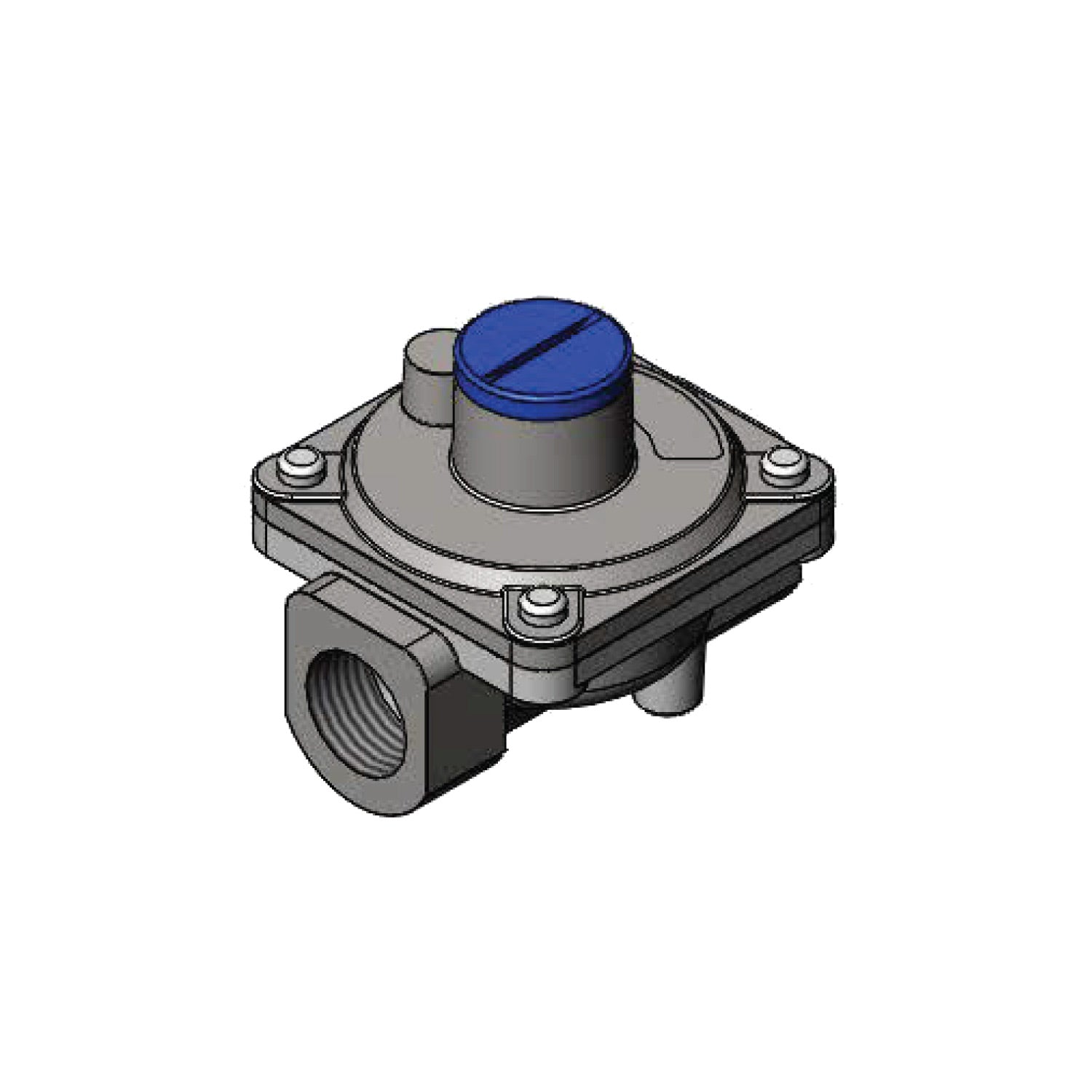 Natural gas conversion kit with blue cap and metal valve assembly, two threaded ports