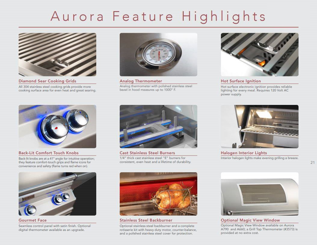 Built-in grill feature highlights panel showing analog thermometer and burner components