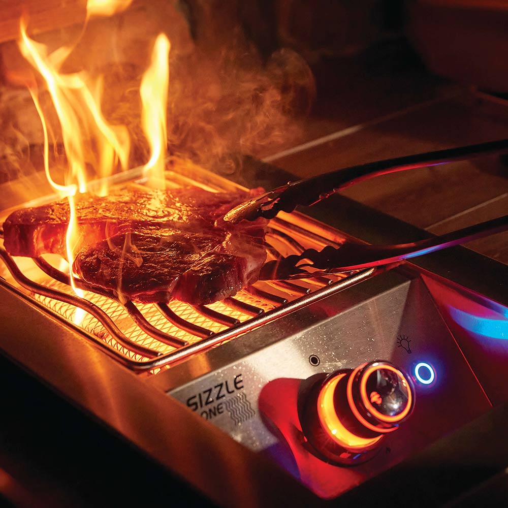 Napoleon BIG32RBSS Stainless Steel Built-In 700 Series 32-Inch Infrared Rear 4-Burner Gas Grill Head