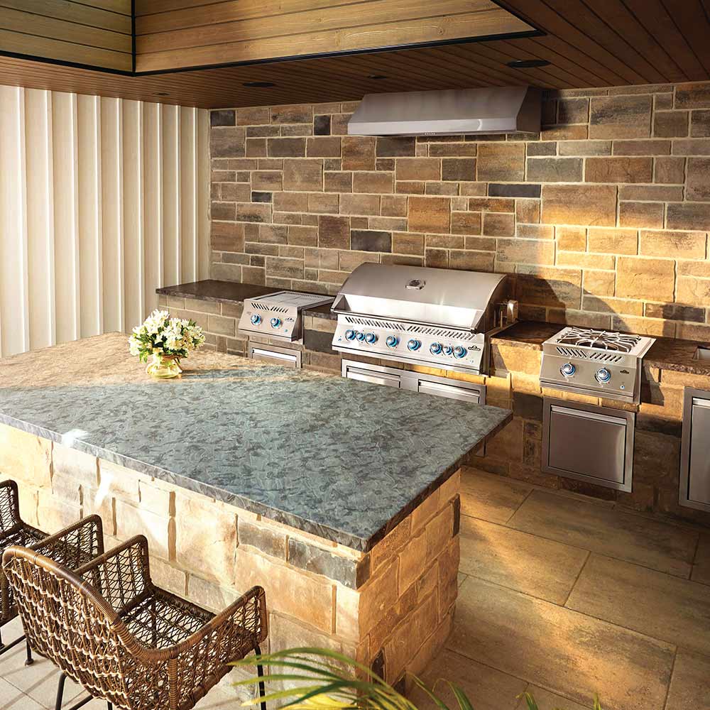 Napoleon BIG44RBSS Stainless Steel Built-In 700 Series 44-Inch Infrared Rear 6-Burner Gas Grill Head