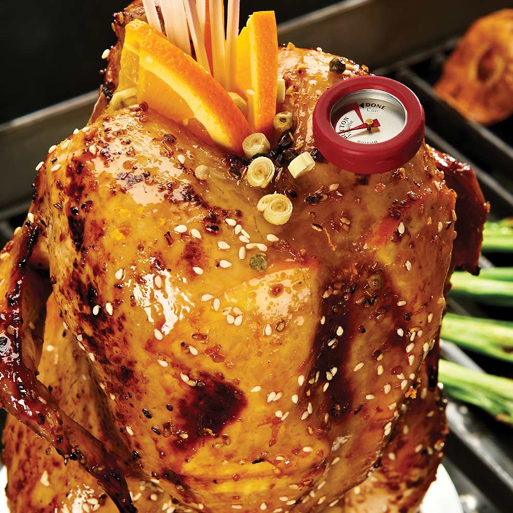 Close-up of roasted chicken on roaster stand with red-topped thermometer