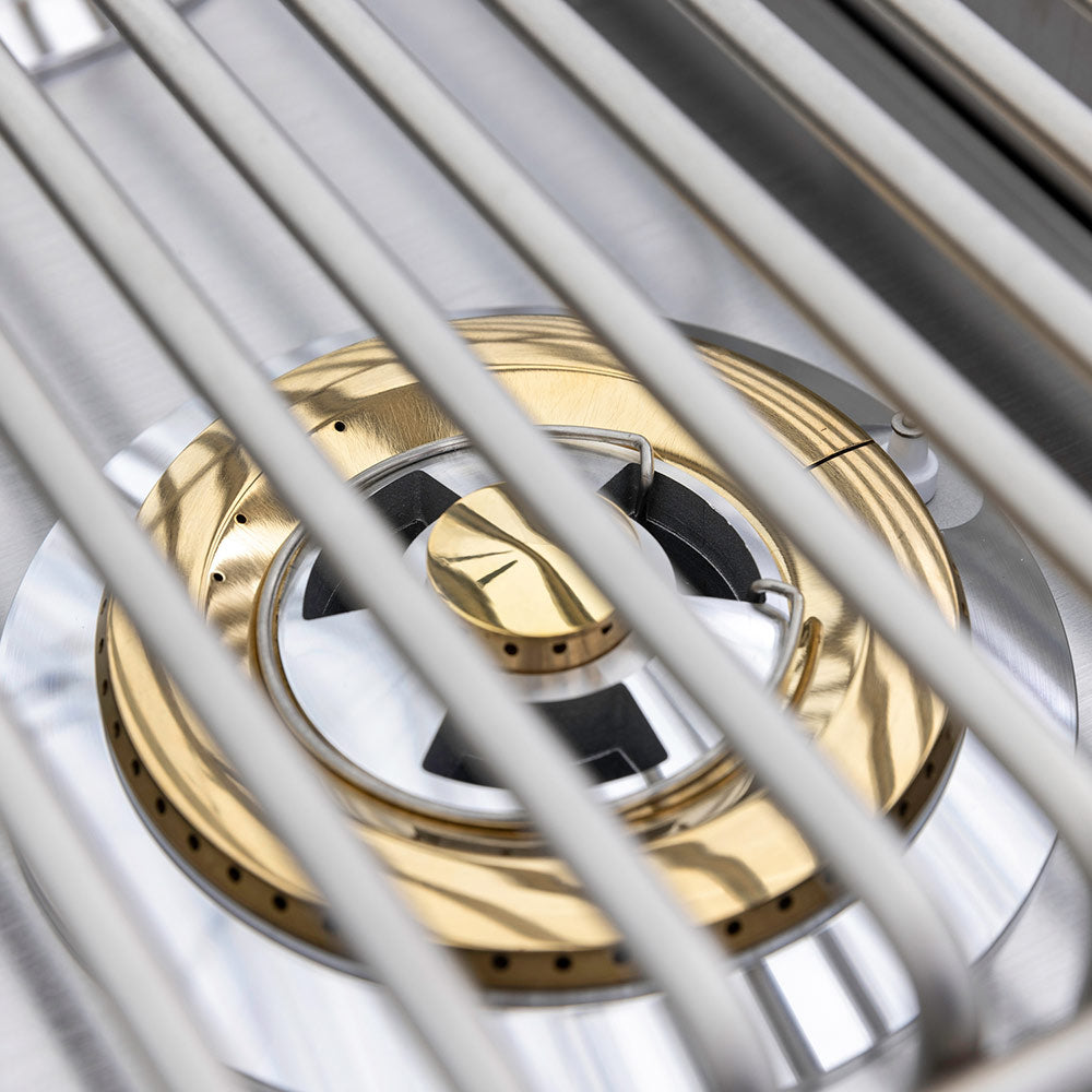 Burner assembly with gold burner caps and ignition ports under stainless grates