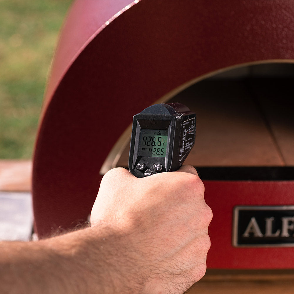 Portable gas pizza oven temperature display with hand-held controller