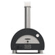 Gray gas pizza oven with arched front opening, control knobs, and stainless chimney
