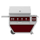 Freestanding gas grill with stainless hood and red interior panel