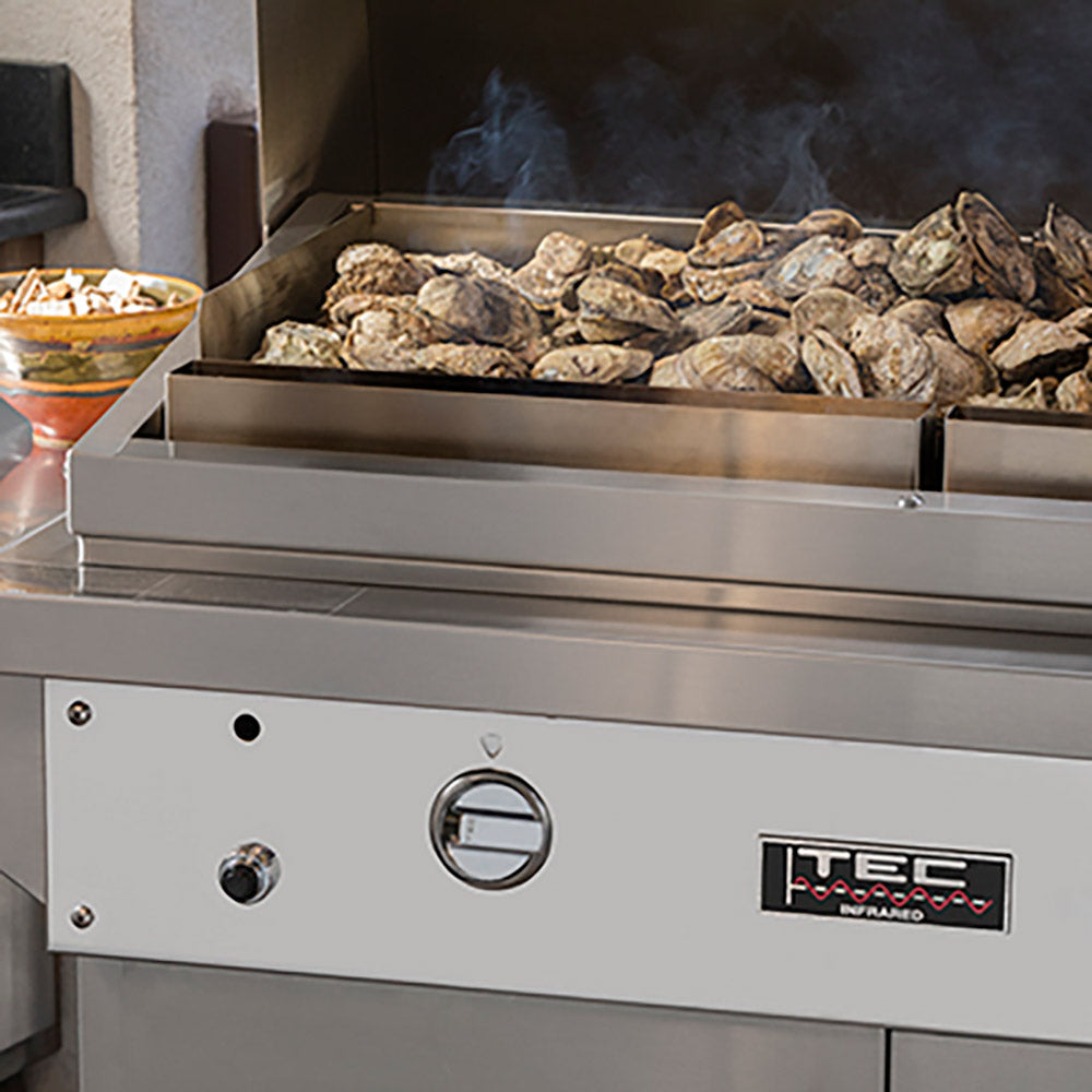 Stainless steel patio grill rack with TEC badge, round dial, and open burner tray