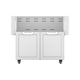 Double door cart front view with two closed doors and louvered panel