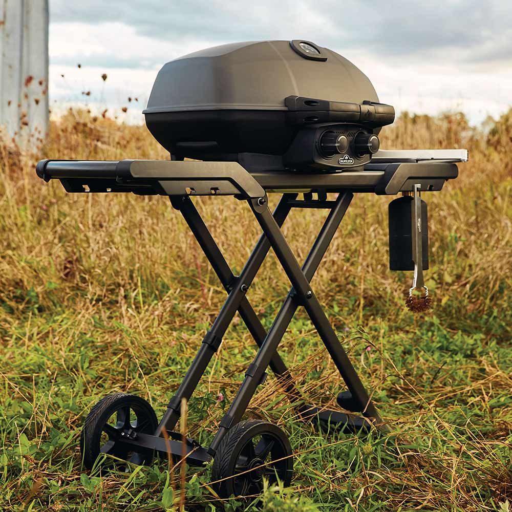 Napoleon Phantom TravelQ Portable Grill with Scissor Cart, Propane