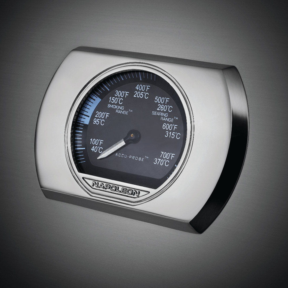 Gas grill temperature gauge with dial markings and indicator needle