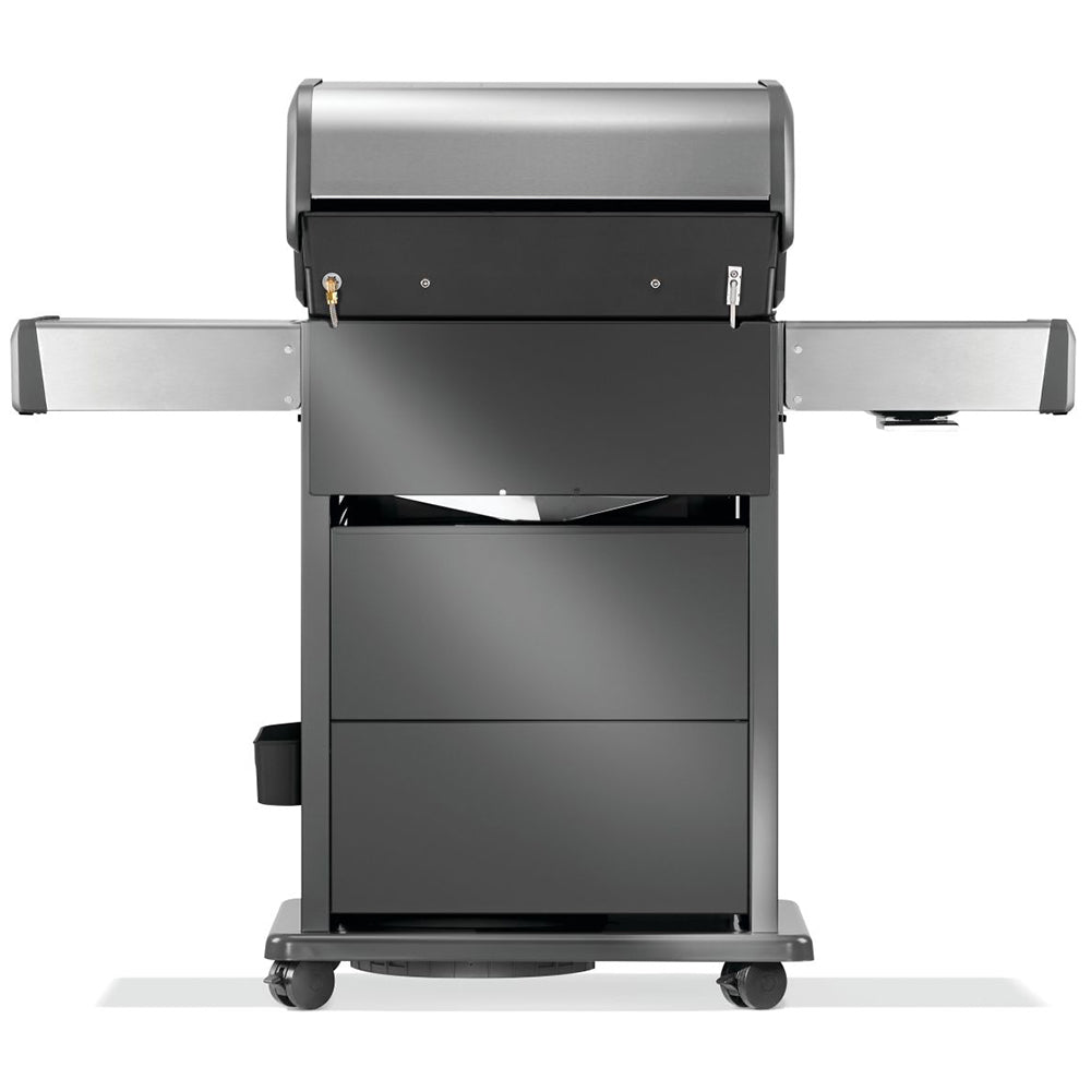Gas grill on cart rear view with closed lid and side handles