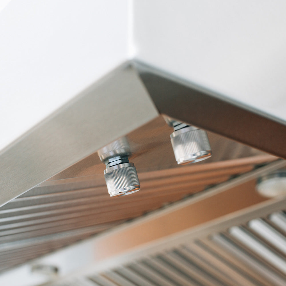 TrueFlame Outdoor Vent Hood with Blower, 60-Inch