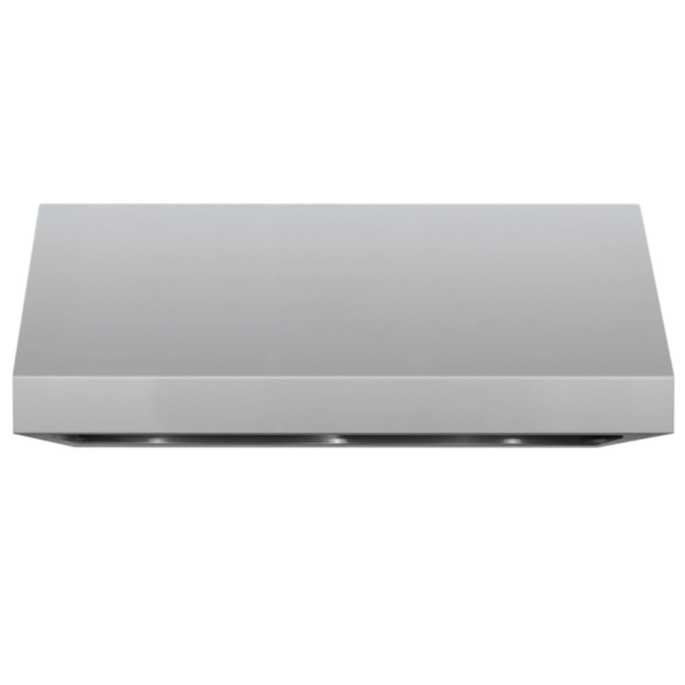 TrueFlame outdoor vent hood, stainless steel rectangular canopy, 60-inch