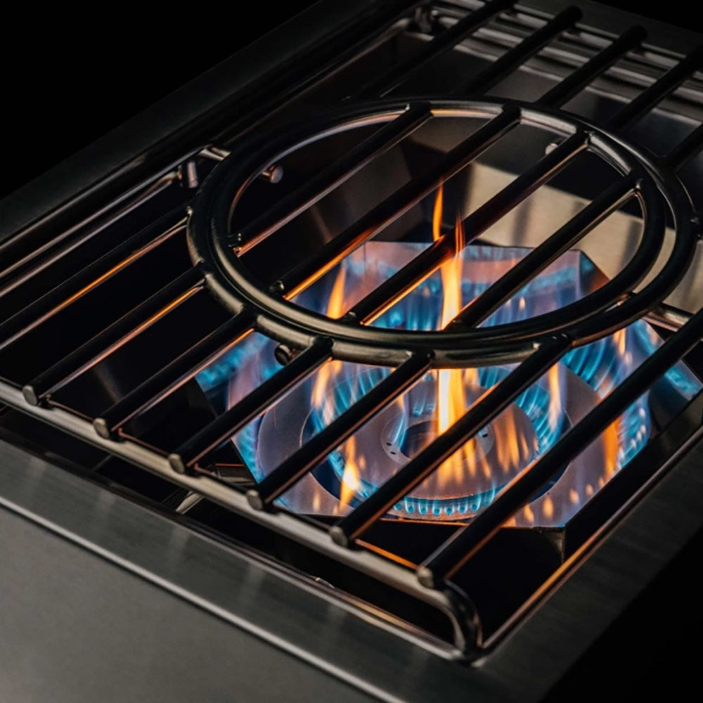 TrueFlame Built-In Power Burner