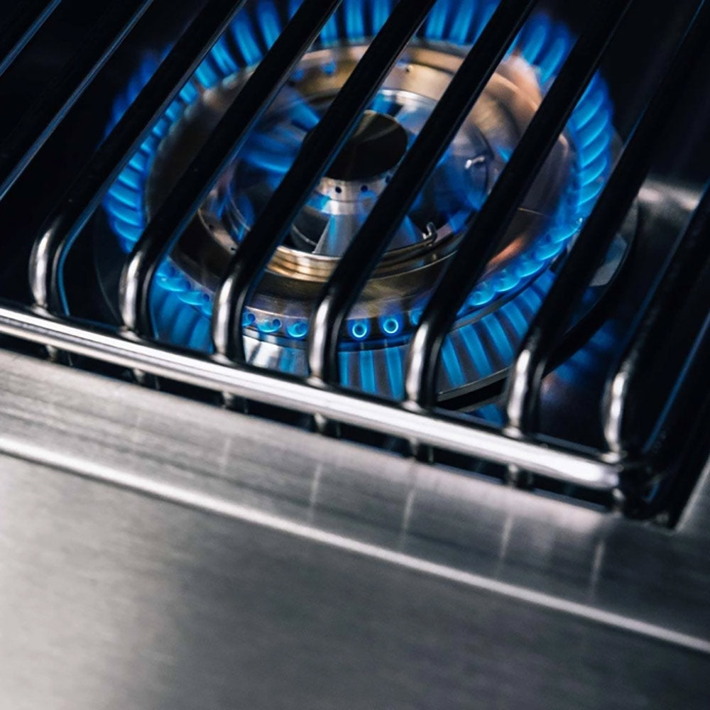 TrueFlame Built-In Double Side Burner