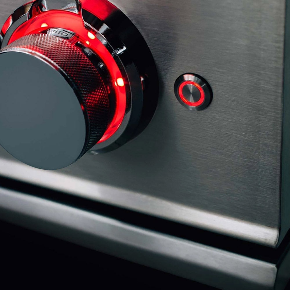 TrueFlame Built-In Double Side Burner