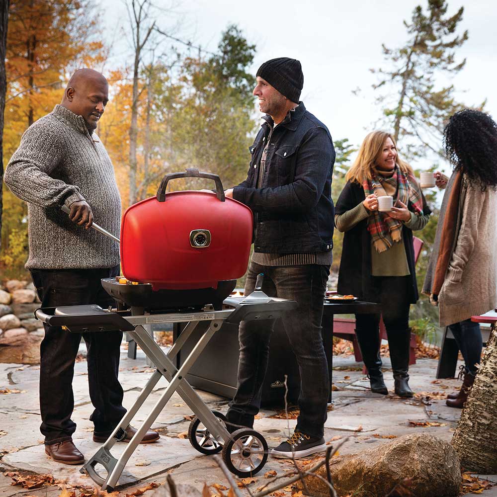 napoleon camping grill Napoleon TravelQ 285X Portable Propane Gas Grill/Griddle with Scissor Cart, Red