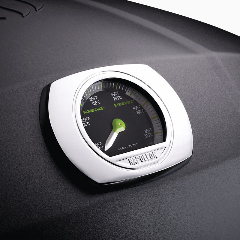Napoleon TravelQ Portable Tabletop Electric Grill