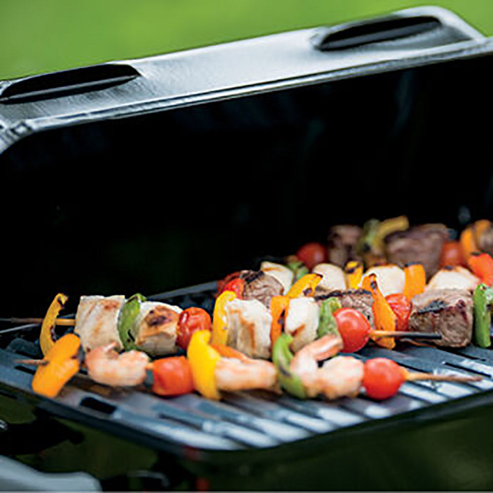 Weber Go-Anywhere Portable Propane Gas Grill