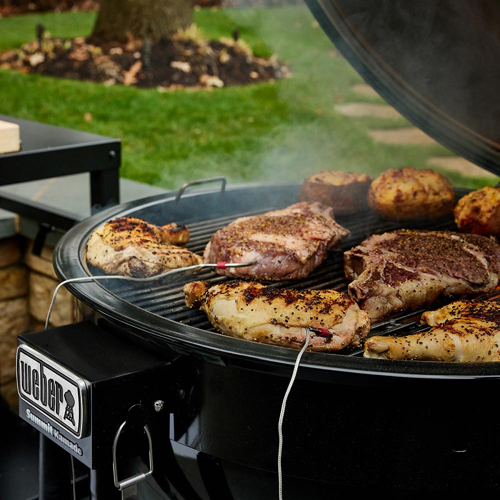 Weber Summit Kamado E6 Freestanding Charcoal Grill, 24-Inch