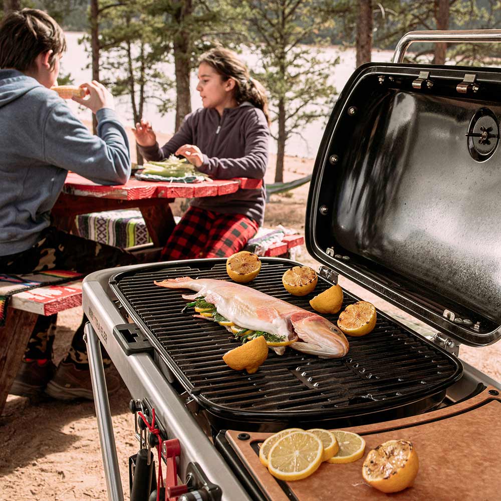 Weber Traveler Portable Propane Gas Grill with Side Table