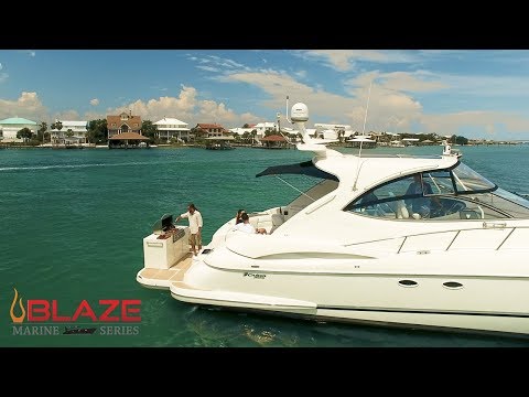 Blaze BLZ-4LTEMG Marine Grade Stainless Steel Built-In Gas Grill with Lights, 32-inch