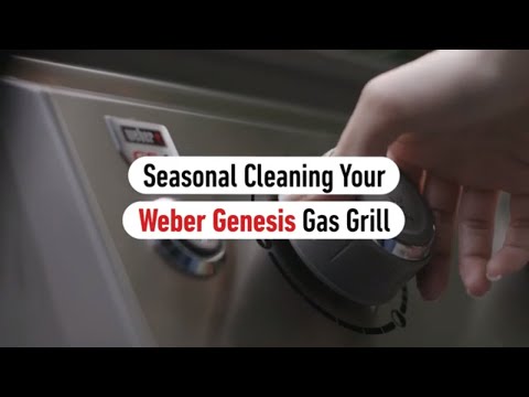 Weber Stainless Steel Polish, 12oz