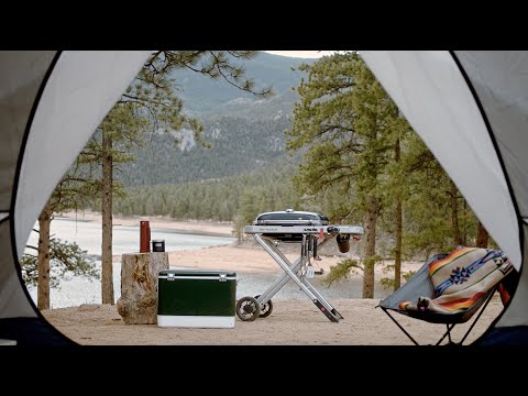 Weber Traveler Portable Propane Gas Grill with Side Table