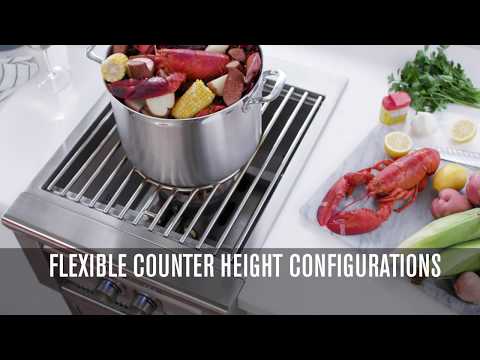 Lynx Professional Built-in Gas Power Burner