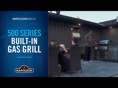 Napoleon BI32SS Stainless Steel Built-In 500 Series 32 Gas Grill Head