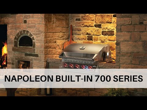Napoleon BIG32RBSS Stainless Steel Built-In 700 Series 32-Inch Infrared Rear 4-Burner Gas Grill Head