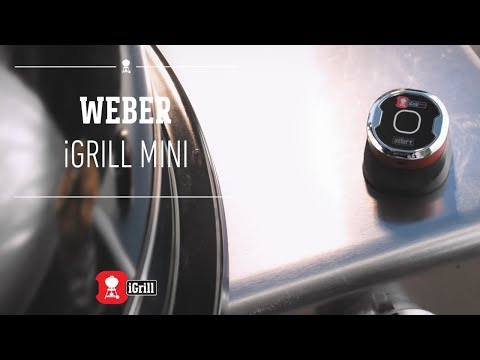 Weber iGrill Mini App-Connected Thermometer
