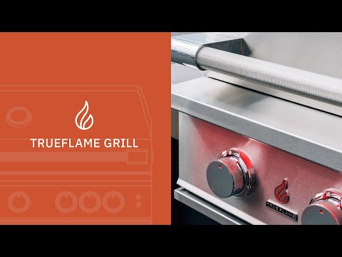 TrueFlame E Series Built-In Gas Grill, 25-Inch