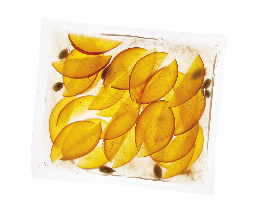 PolyScience 300 Series Chamber Vacuum Sealer